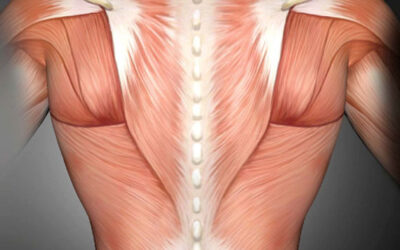 MyofasciaOstéo